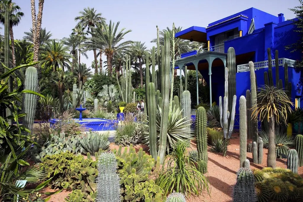 Cyclebreakers: Marrakech | Shared Room Regular Ticket